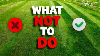 Download Lagu GET the BEST results from your new lawn (start to finish) MP3 Download Lagu GET the BEST results from your new lawn (start to finish) MP3