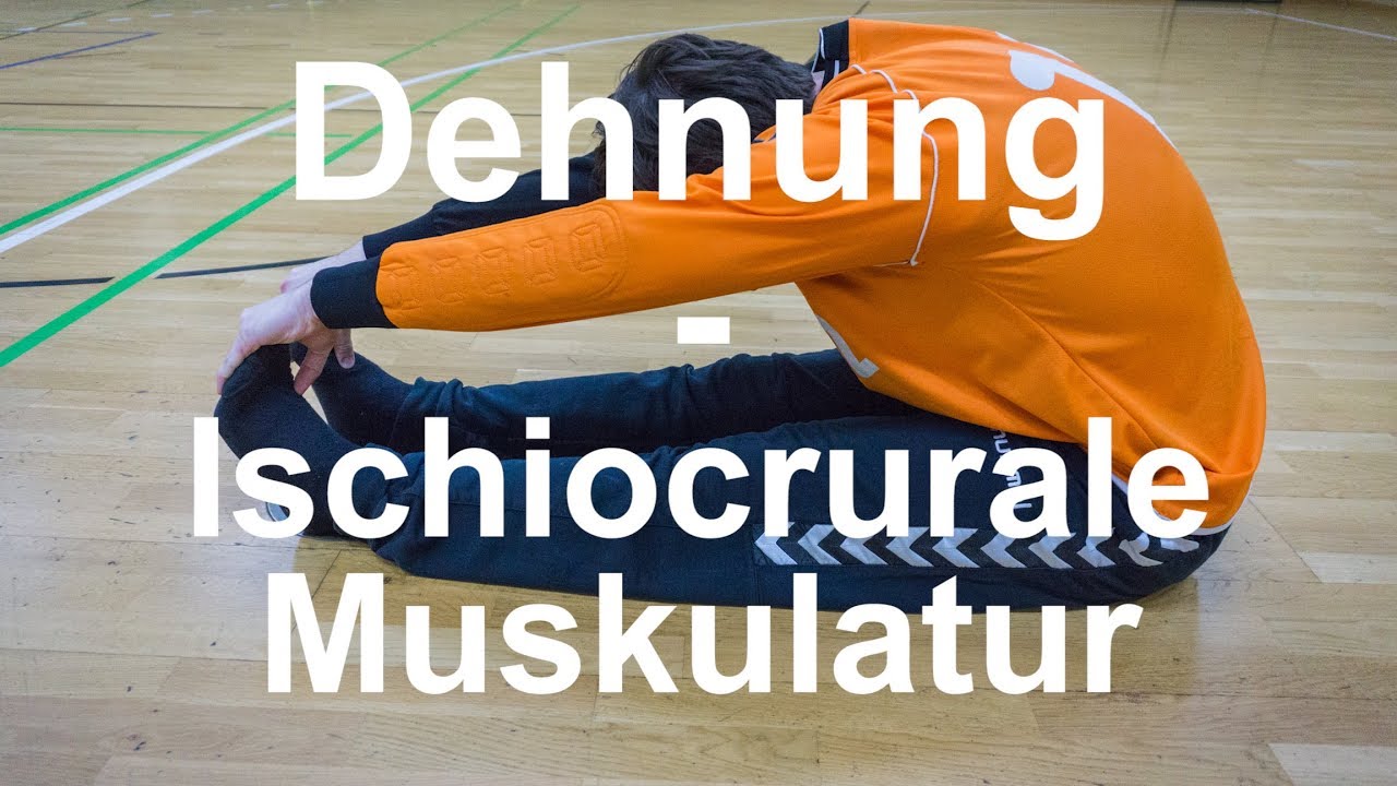 Dehnung - Ischiocruralen Muskulatur(hintere Oberschenkelmuskulatur) - YouTube
