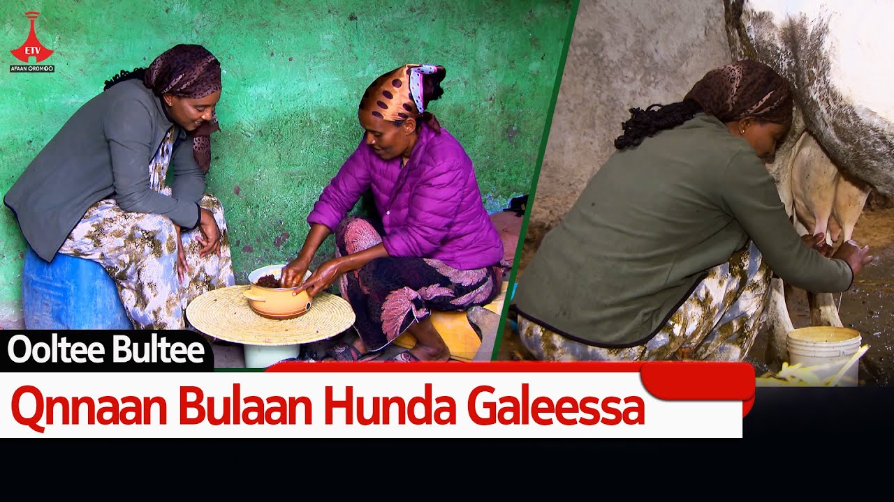 Ooltee Bultee-- Qnnaan Bulaan Hunda Galeessa etv |Ebc  |Etv Afaan Oromoo| oduu Etv Afaan Oromoo