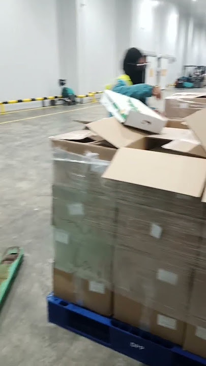 gudang Pt 2 putra perkasa Pratama