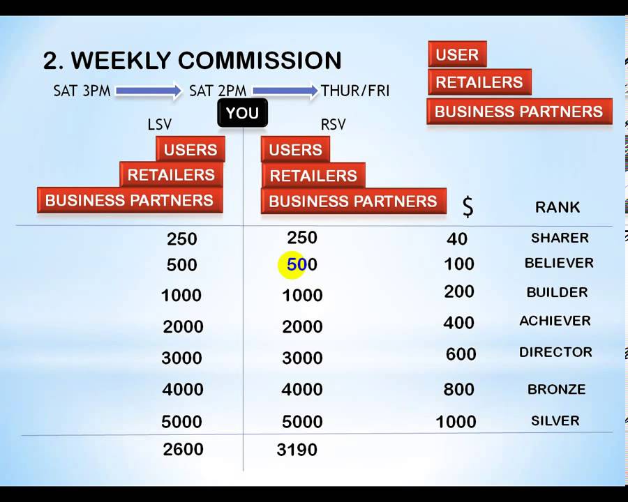 usana business plan