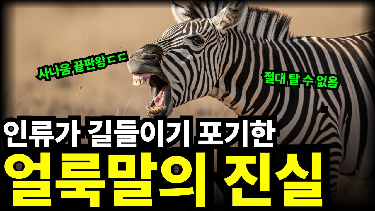 인류가 길들이기를 포기한 동물, 얼룩말에 숨겨진 난폭함