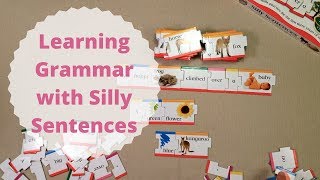 Learning Grammar with Silly Sentences