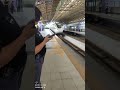 THE BULL ET TRAIN TO BUSAN