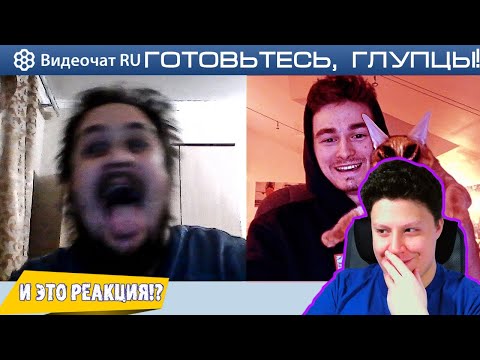 Реакция на Брайн Мапс: Страшный кот СКРИМЕР-ПРАНК в чатрулетке!