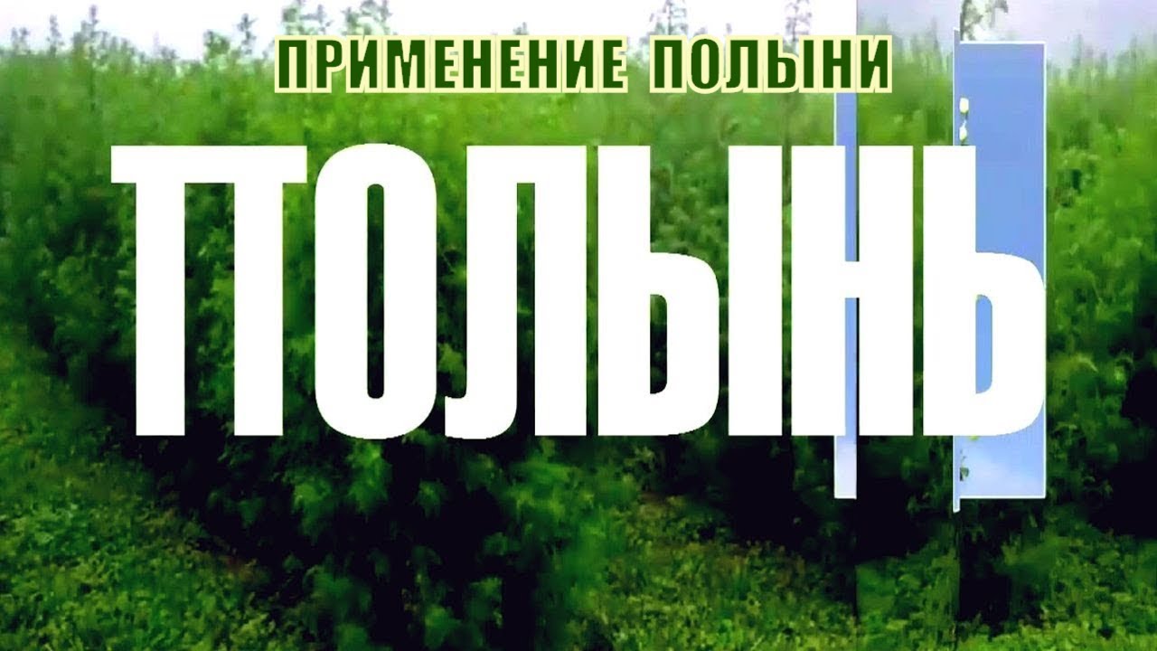 Здоровье без таблеток!! Полынь! Применение полыни. 🌿☘️