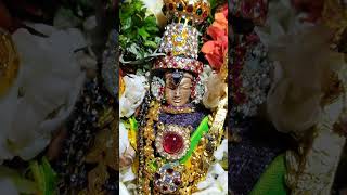 My Home Deity Sri Srinivasa Perumal Vasanthotsavam Day 3