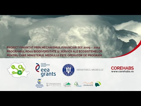 Coridoare ecologice - video from Icas