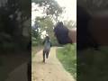 Man Runs From Cops, Instantly Regrets Everything