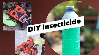 How to Get Rid of Boxelder Bugs..DIY Insecticide ..Bugs Life!