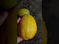 power of lemon 🍋🍋