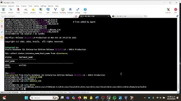 Cómo cambiar de sesión entre diferentes versiones de oracle en Linux Red Hat