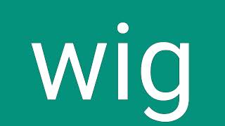 Wig Definition & Meaning