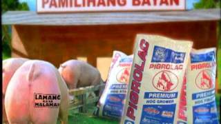 Pigrolac Binatilyo Tvc 30S