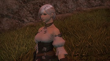 FFXIV ARR : ACN Lv5 What