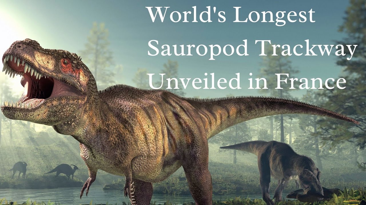Longest Dinosaur Footprint Trail