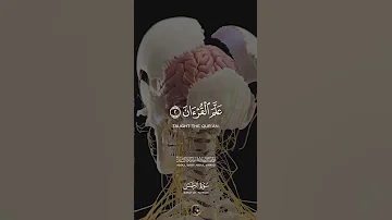 ٱلر ح م ن الشيخ عبد الباسط عبد الصمد 