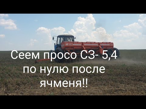 Уборка канадского ярового