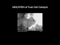 [Materials] SEM/STEM of Fuel Cell Catalyst