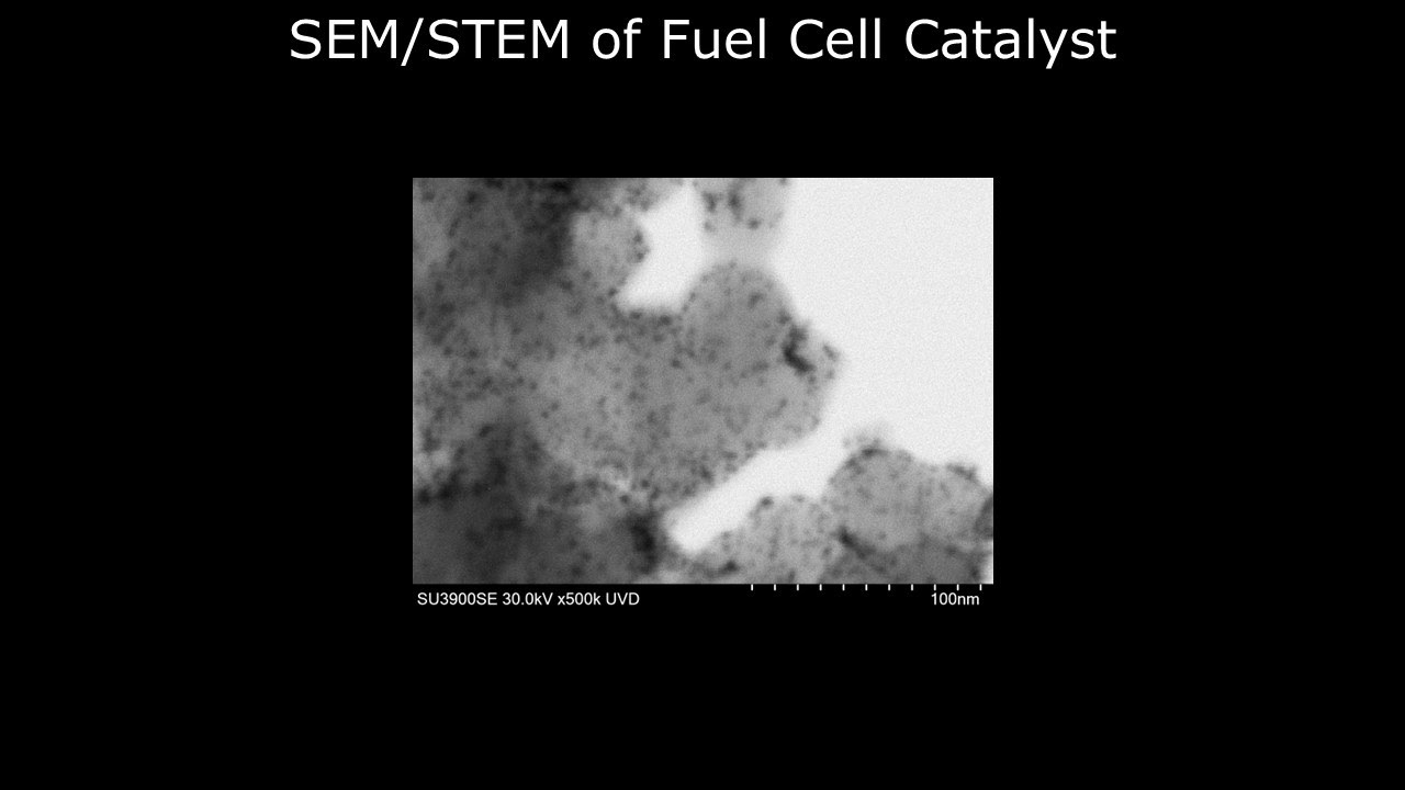 [Materials] SEM/STEM of Fuel Cell Catalyst