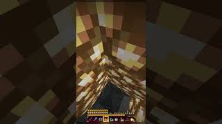 My Friend Wants To Trap Meminecraft