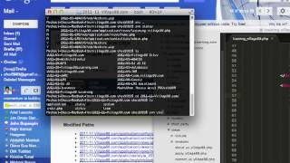 SVN Demo