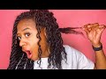 Heat Damage on my natural hair | Dominican Blowout | DalyaTonise