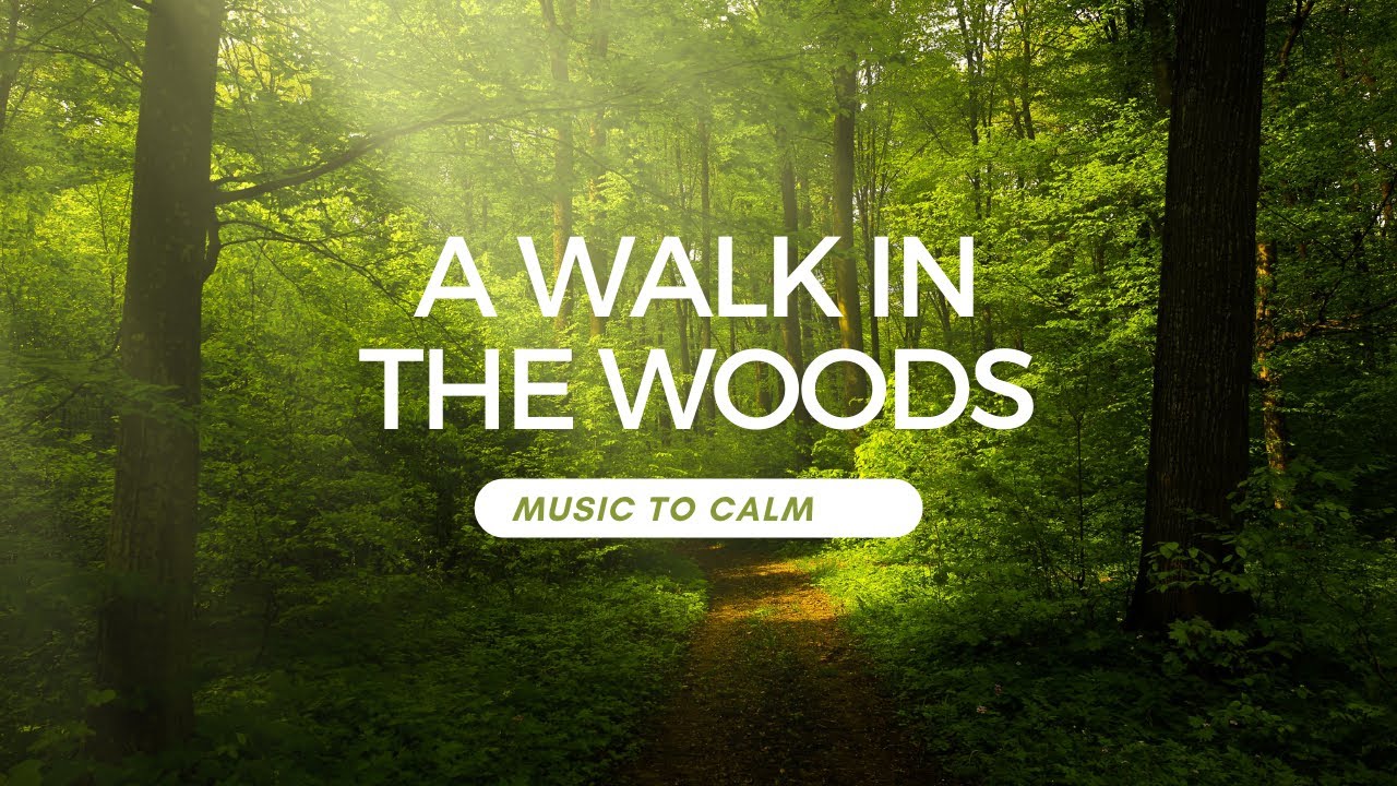 A Walk in the Woods: Soothing Forest Sounds and Scenery for Relaxation ...