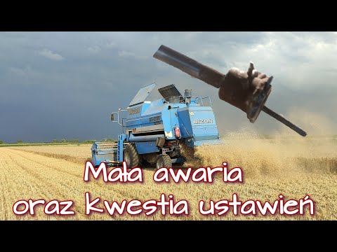 Wideo: Blogi: 18-24 Kwietnia