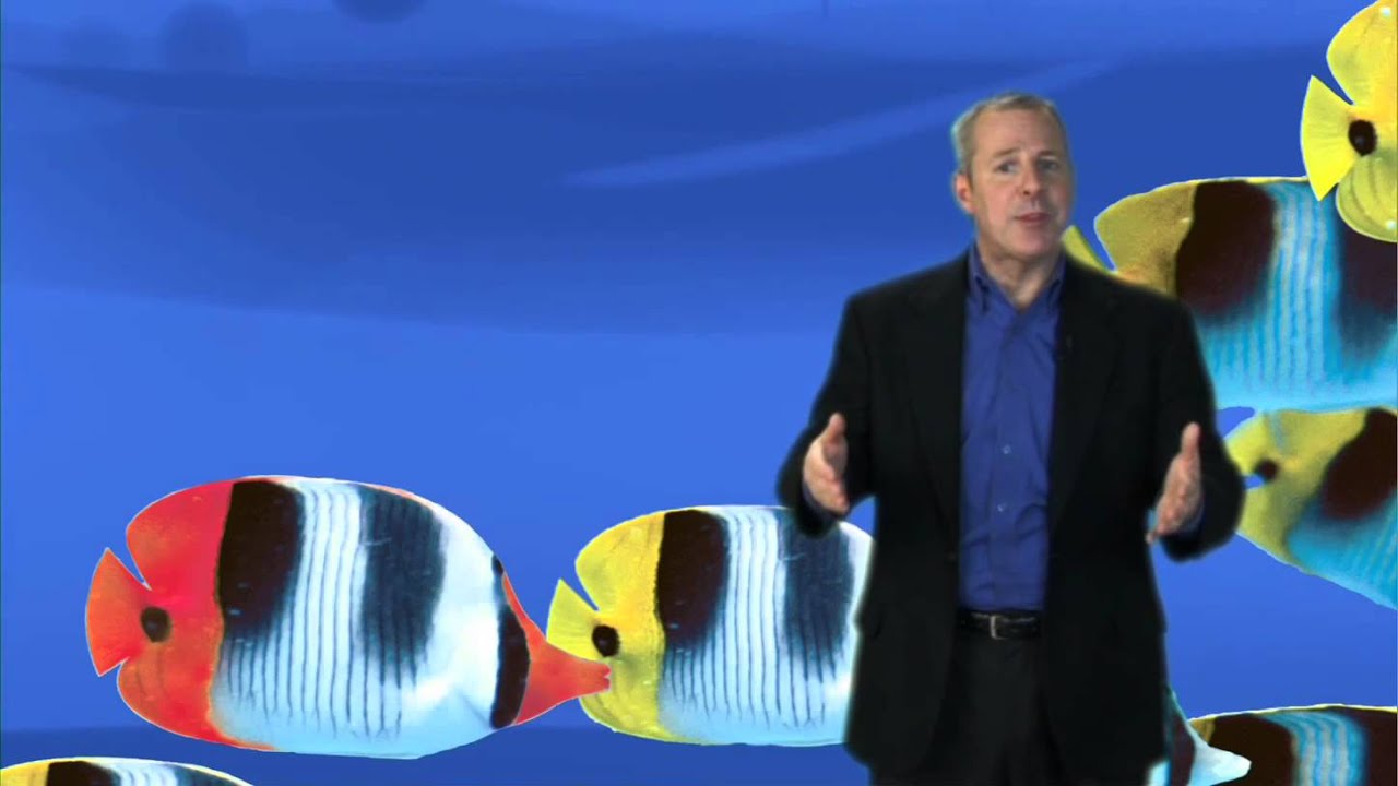 Three Guarantees: Click Learning Series - YouTube
