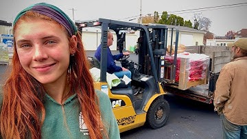 We got our first kiln dried bagged firewood account!