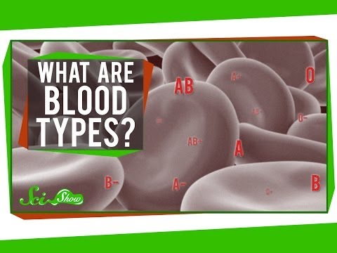 what-are-blood-types?