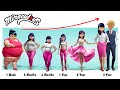 From Fat to Muscle: Miraculous Ladybug Growing Up Transformation