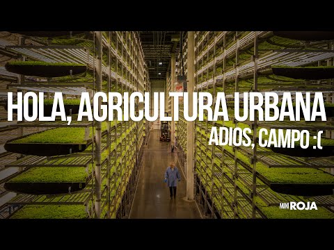 Por estos motivos la comida del super va a cambiar (o se nos acaba). En pocos años. /miniRoja