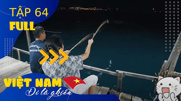 VIỆT NAM ĐI LÀ GHIỀN | Tập 64: Câu Mực Đêm ở Nhơn Lý - Bình Định |17112023