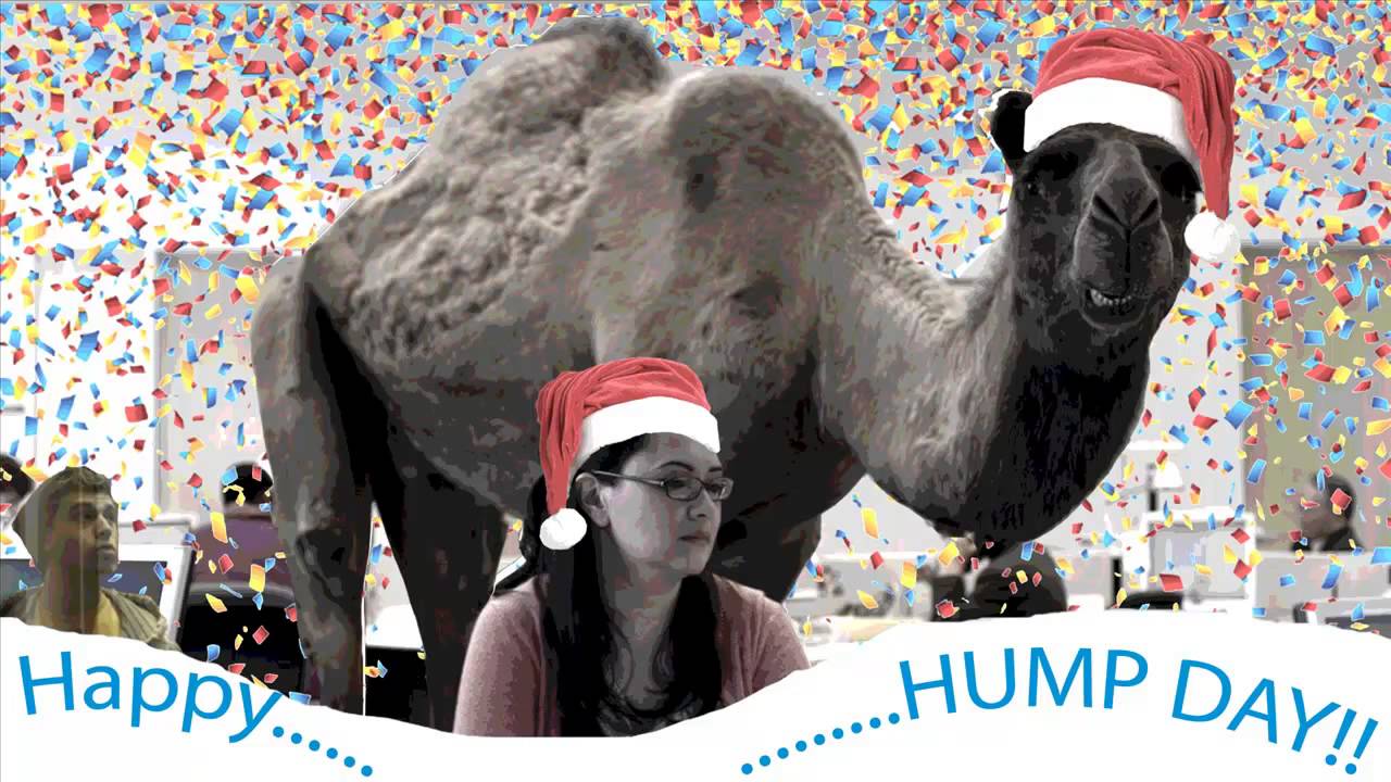 Merry hump day the hump day song youtube