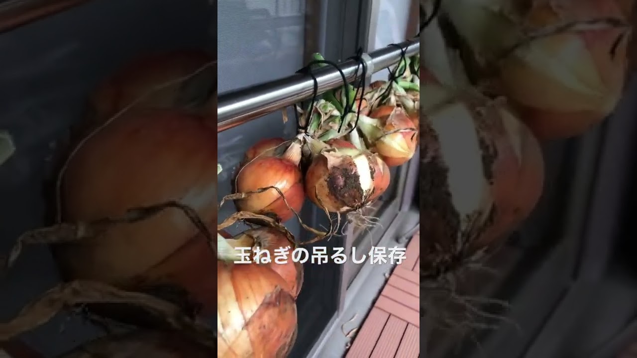 限定品 最 安 商品 Youtube説明 De 98 21cc 吊るし玉ねぎのピアス 日本最大級のハンドメイド 手作り通販サイト 2b6f4b 専用売り場 Www Spyder World 限定品 最 安 商品 Youtube説明 De 98 21cc 吊るし玉ねぎのピアス 日本最大級のハンドメイド 手作り通販サイト 2b6f4b 専用売り場 Www Spyder World