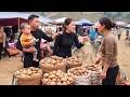 Little Misunderstanding at the Market- Harvesting Potatoes with My Family| Cozy Farm| Trieu Thi Thuy