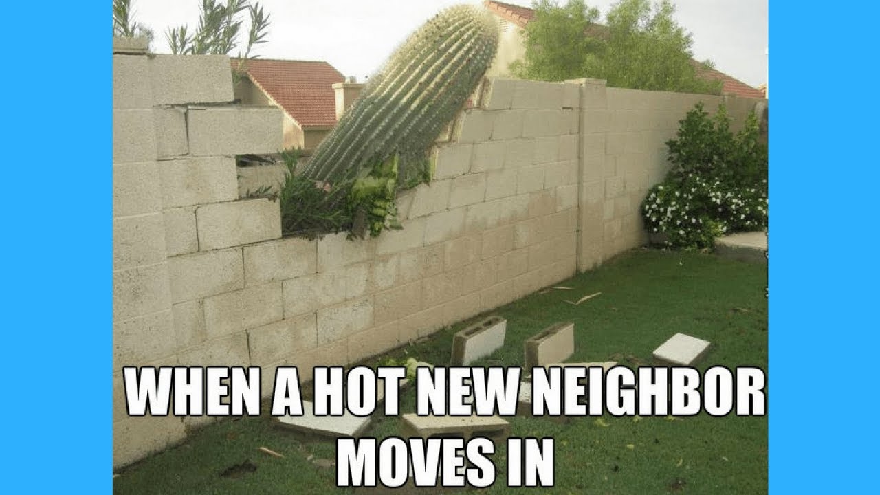 Funny Neighbor Meme.