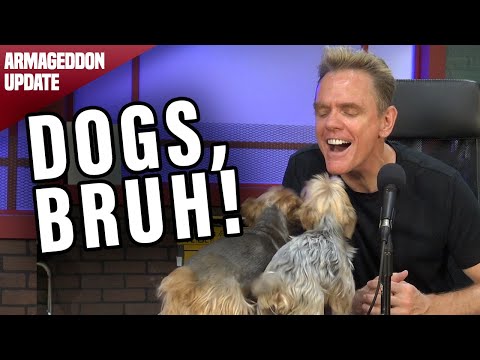 Christopher Titus | Armageddon Update | Dogs, Bruh!