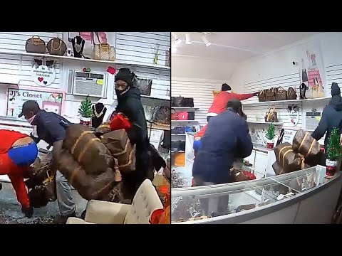 Thieves Grab Louis Viutton Bags From Store in Seconds