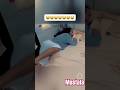 هههههههه تموت من الضحك مصطفى المومري مع احلا عرس اكسبلور المراره Funny المراه ضحك الرحمن 