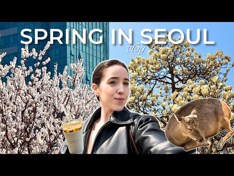 🌸 Solo Picnic in Seoul Forest | Cherry Blossoms, Deers & Pajama Store 🌿 | Spring in Korea Vlog