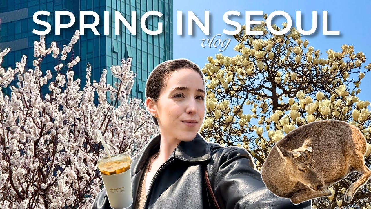 🌸 Solo Picnic in Seoul Forest | Cherry Blossoms, Deers & Pajama Store 🌿 | Spring in Korea Vlog