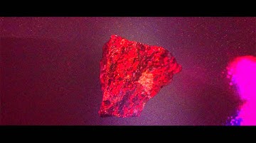 Cloud Control - Moon Rabbit (Official Video)