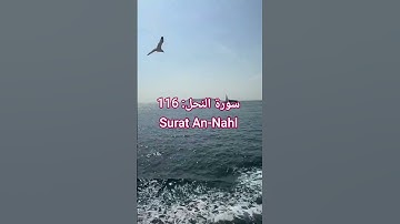 سورة النحل Surat An-Nahl | قرآن كريم | #المصحف #اكسبلور #الشيخ #قرآن