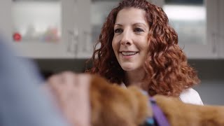 Elanco Galliprant: Dr. Schwartz's Inspiring Story | Colle McVoy