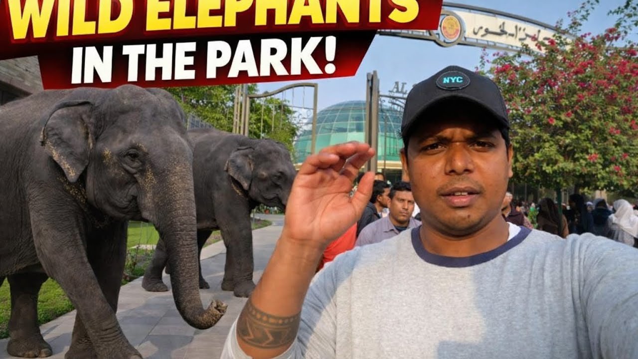 ALKHOR PARK DOHA |  2 Nepali Elephants  full Zoo 