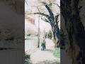 sumika /「伝言歌」(AL『Familia』収録) #sumika_伝言歌