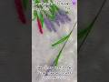 Pipe cleaner class just 149 #tamil #pipecleanerart #art #free #craft #kidsartandcraft #flowers